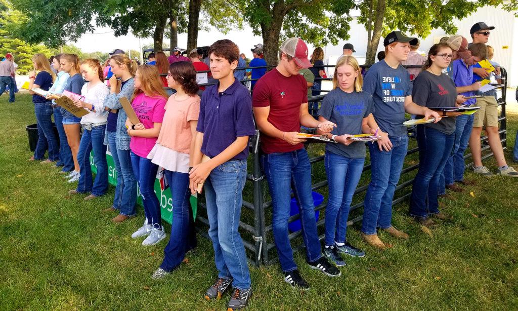 Students prepare to judge sheep